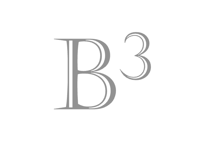 Budget Blueprint Logo